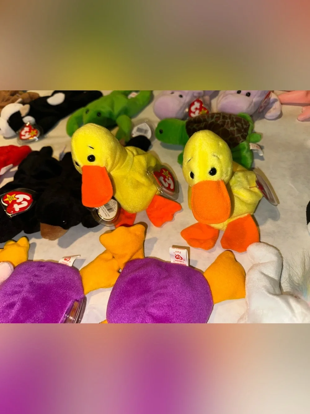 Rare TY Beanie Baby 1993 Bundle of 38